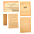 Original German WWII Set of Four Tank and Armored Vehicle Identification Documents with Two Workbook IDs Original Items