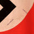 DRAFT Original German WWII USGI Captured & Signed NSDAP Double Sided Political Flag - 31" x 52" (Copy) Original Items