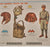 Original U.S. WWII 1944 Japanese Army Uniform Recognition Poster & Southwest Pacific NEWSMAP - Dated March 24, 1944
