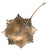 Original Spanish 1938-1942 Type I Cruz de Guerra “Al Mérito en Campaña” Breast Star Original Items