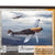 Original German WWII Messerschmitt Bf 109 E-7 Fragment on Frame from JG 52 “Black 6” - 37/50 - 9 x 11 1/2” Original Items