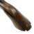 Original U.S. Civil War Era Named Colt "Root" Model 1855 Sidehammer .28cal. Pocket Percussion Revolver Made in 1856 - Serial 8719