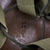 Original U.S. M1 Helmet Used in Saving Private Ryan – 2nd Ranger Battalion – With Copy of Notarized Letter of Authenticity