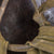 Original U.S. WWII M1 Helmet Worn by Private First Class Richard Reiben in Film Saving Private Ryan - 2nd Ranger Battalion - Comes with Original Notarized Letter of Authenticity Original Items