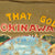 Original U.S. Post-WWII Okinawa “The Island That God Forgot” Painted Female M41 Jacket with Girls, Tiger, & Dragon - Clarence Betty, 8102nd Service Detachment - Dated 1949-1950 Original Items