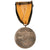 Original German WWII 1936 Berlin Summer Olympic Games Medal with Ribbon in Presentation Case Original Items