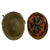 Original U.S. M1 Helmet Used in Saving Private Ryan – 2nd Ranger Battalion – With Copy of Notarized Letter of Authenticity Original Items