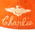 Original U.S. Vietnam War Era VMO-1 Marine Observation Squadron 1 Captain’s Baseball Cap & Flight Suit with Photograph of Pilot Wearing Them - Charlie