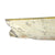 Original Soviet WWII Curtiss P-40 Warhawk AK-255 Crashed Aircraft Skin - Plan e Now Recovered in National Museum of Naval Aviation in Pensacola Florida - 12 x 64” Original Items