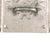Original German WWII DAF Aluminum Belt Buckle by Paul Cramer & Co. of Lüdenscheid - M4/44 Original Items