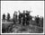 British WWI Gun Sighting Brass Telescope No. 7 Mark I: Dated 1916 Original Items
