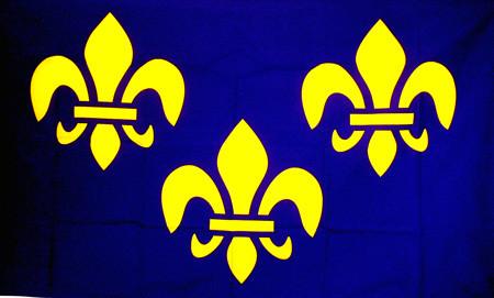 Flag: French Fleur-De-Lis FLAG New Made Items