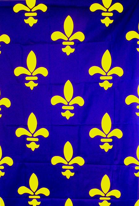 Flag: French Fleur-De-Lis BANNER New Made Items