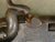 P-1840 .75 East India Company Percussion Short Musket Original Items