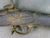 British P-1853 Three Band Enfield type Rifle (U.S. Civil War): Untouched [Third Offering] Original Items