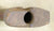 British Vickers-Berthier Butt Stocks: Exotic w/ Recess Original Items