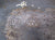 German WW1 MG Ammunition Can With Skull & Crossed Bones (One Only) Original Items