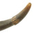 Original U.S. Naval Gunner's Priming Priming Powder Horn with Patriotic Scrimshaw Engraving c.1812 Original Items