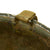 Original U.S. WWII 29th Division 1942 M1 McCord Fixed Bale Front Seam Helmet with Westinghouse Liner Original Items