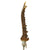 Original Early 20th Century German Antler Horn Hunting Knife - Nickel Silver Mounted with Scabbard Original Items