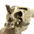 Original U.S. Colt Nickel-Plated Single Action Army .44/40 Caliber Revolver Serial 79184 - Made in 1882 Original Items