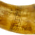 DRAFT Original British Early 18th Century Gun Powder Horn marked to the 76th Regiment of Foot circa 1787-1820 Original Items