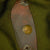 Original German WWI Bavarian Model 1895 Infantry Officers Pickelhaube Original Items