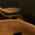Original Danish WWI Model 1923 Steel Army Helmet: Excellent Condition Original Items