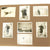 Original German WWII Klier Family Photo Album with Unknown Hitler Photo - 200+ Images Original Items