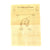 Original U.S. WWI Named Medical Department Trunk Grouping Original Items