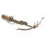 Original 17th Century European Iron Crossbow of Possible German Origin c.1660-1680 Original Items