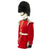 Original British Queen's Crown Irish Guards Bandsman's Uniform Set with Bearskin Helmet - Recent Issue Original Items
