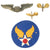 Original U.S. WWII B-24 Liberator 745th Bomb Squadron Lardassaurus Named Bombardier A-2 Flight Jacket Original Items