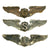 Original U.S. WWII Army Air Forces USAAF Sterling Pilot Wing Set of 3 - Glider, Liaison, Service Original Items