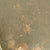 Original German WWII Anti-Tank Tellermine T.Mi.35 Mine - Inert Original Items