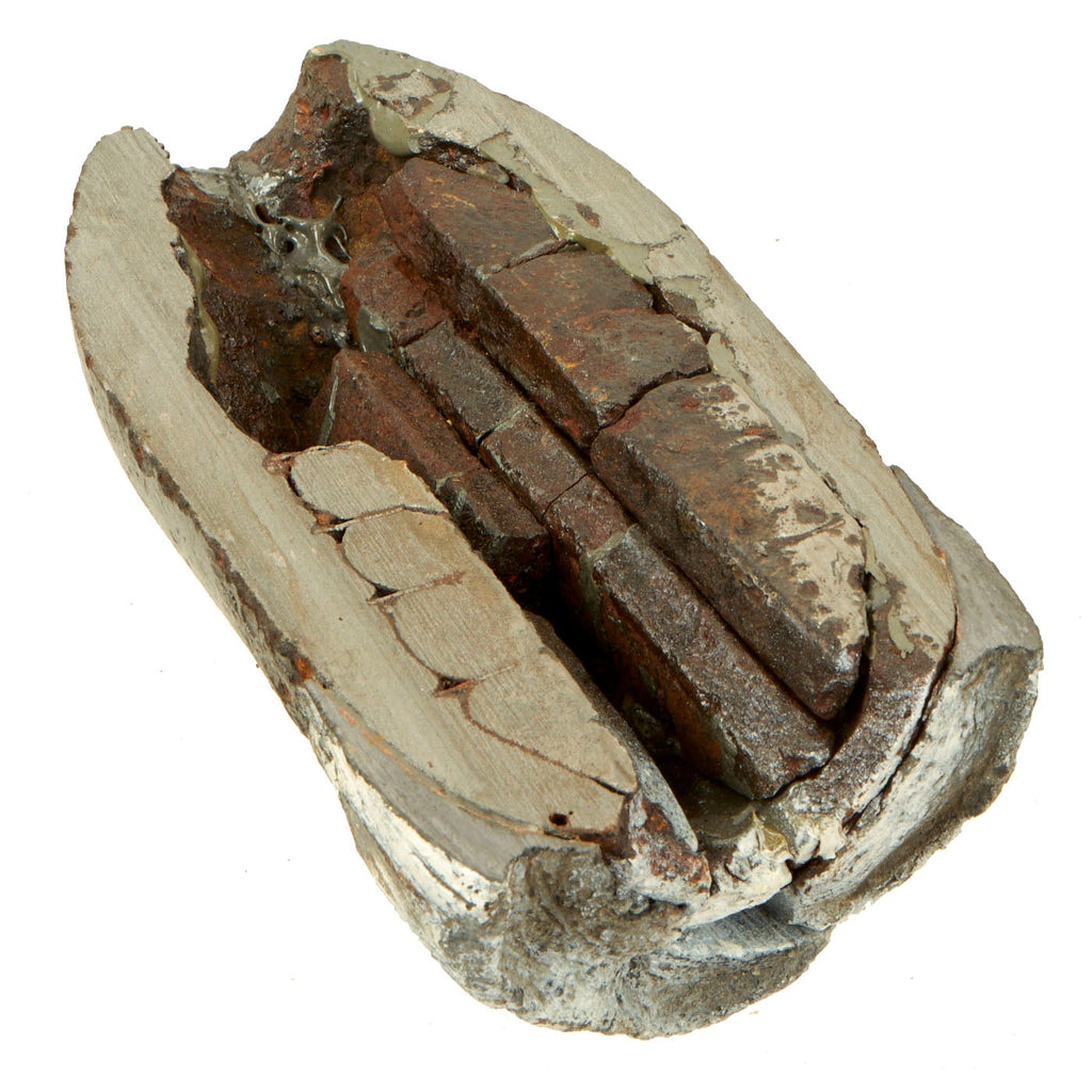 Original U.S. Civil War Confederate Imported British 3 ½” Britten Shell Cutaway Original Items