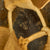 Original U.S. WWII 1944 McCord Front Seam Swivel Bale M1 Helmet with Net and Westinghouse Liner - Complete Original Items