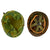 Original U.S. WWII - Early Vietnam War M1 Helmet With Mitchell Pattern Camouflage Helmet Cover, Elastic Band, and Early Vietnam Liner. Original Items