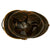 Original 19th Century Bavarian Model 1842 Raupenhelm "Caterpillar" Named Cavalry Helmet Original Items