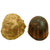 Original U.S. WWII M1 Helmet with 2nd Pattern USMC HBT Camouflage Cover and Liner Original Items
