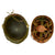 Original U.S. WWII Korean War Named M1 Schlueter Front Seam Helmet with Capac / Westinghouse Paratrooper Liner and British Helmet Net Original Items