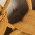 Original WWII U.S. Navy “Battleship Grey” Painted Early M1 Swivel Bale Helmet with MSA Liner Original Items