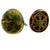 Original U.S. WWII Vietnam War M1-C Paratrooper Helmet with Reversible 1965 Mitchell Camouflage Cover Original Items