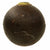 Original U.S. Civil War Confederate States Bormann Fused 12lb Cannon Ball - Battle of Bean's Station Tennessee Original Items