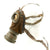 Original Imperial German WWI Gas Mask with Can - Dated June 1918 Original Items