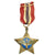 Original U.S. WWII USAAF Italian Made Liberation of Rome Medal - 91st Bomb Group Original Items
