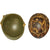 Original U.S. WWII Front Seam Fixed Bale McCord M1 Helmet With Theater Painted MSA Helmet Liner Original Items