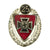 Original German WWI & WWII Medal and Insignia Grouping with Hindenberg Cross - 12 Items Original Items