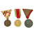 Original Late 19th Century to WWII Era Austro-Hungarian Empire Medal Group - 12 Items Original Items