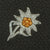 Original German WWII Named Mountain Trooper's “Honor Chronicle” For NSDAP Bad Diesdorf - 148 Photos Original Items